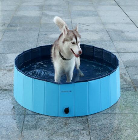 Piscine pour chien pliable grande taille pour baignade et soins canins - IVOIRART.COM