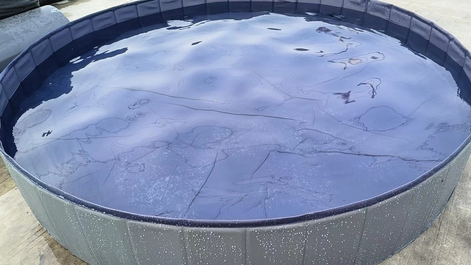 Piscine pour chien pliable grande taille pour baignade et soins canins - IVOIRART.COM