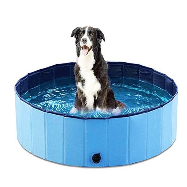 Piscine pour chien pliable grande taille pour baignade et soins canins - IVOIRART.COM