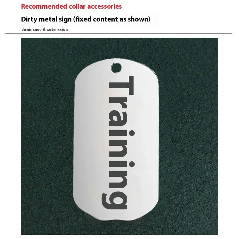 Plateau Cendrier Collier Boule Bâillon pour Couples Accessoires Intimes - IVOIRART.COM