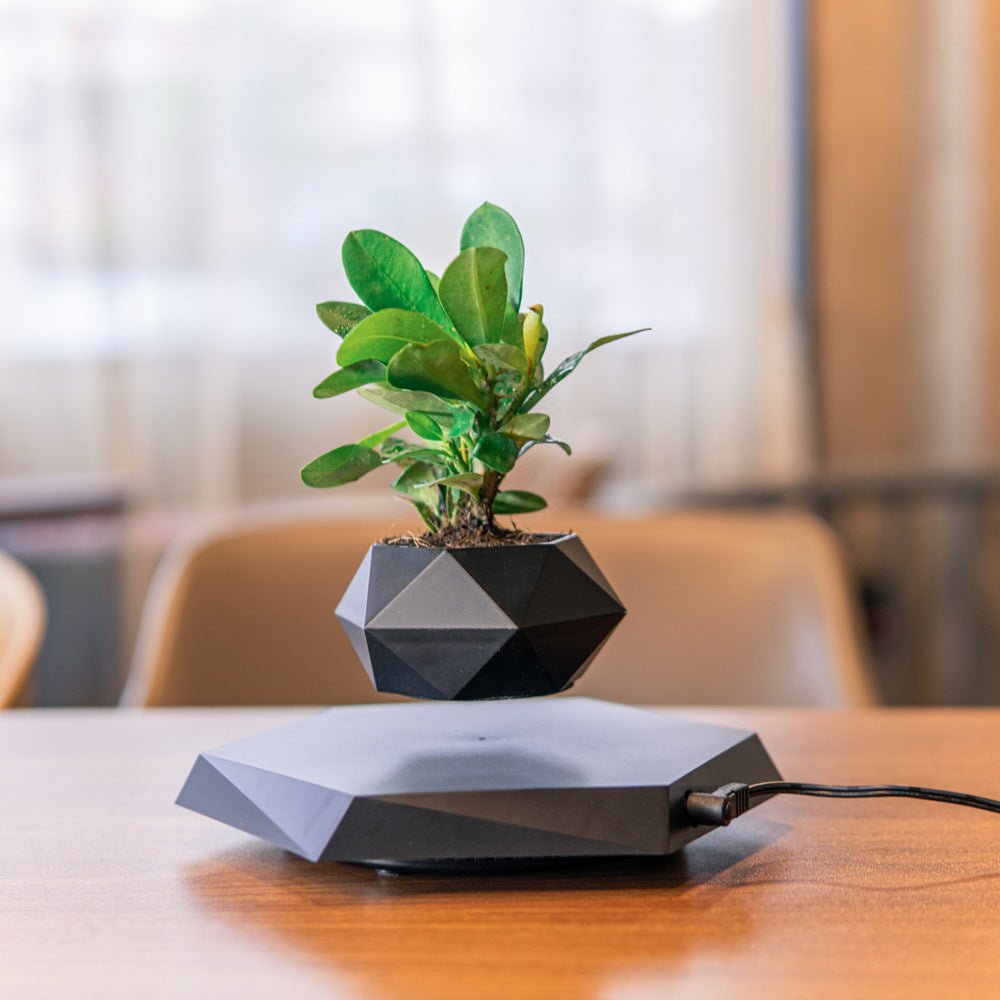 Pot de Fleurs Suspendu Magnétique en Lévitant pour Bureau et Décoration Créative - IVOIRART.COM
