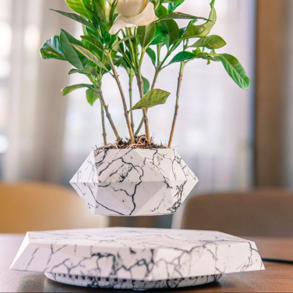 Pot de Fleurs Suspendu Magnétique en Lévitant pour Bureau et Décoration Créative - IVOIRART.COM