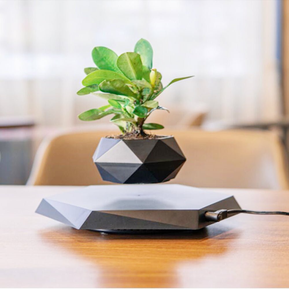 Pot de Fleurs Suspendu Magnétique en Lévitant pour Bureau et Décoration Créative - IVOIRART.COM