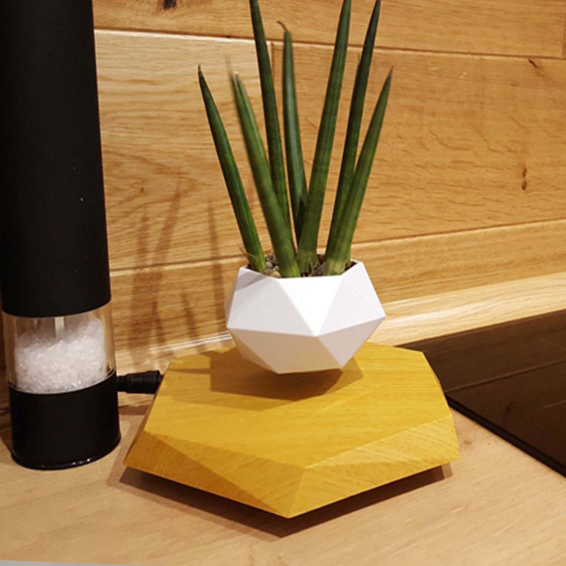 Pot de Fleurs Suspendu Magnétique en Lévitant pour Bureau et Décoration Créative - IVOIRART.COM