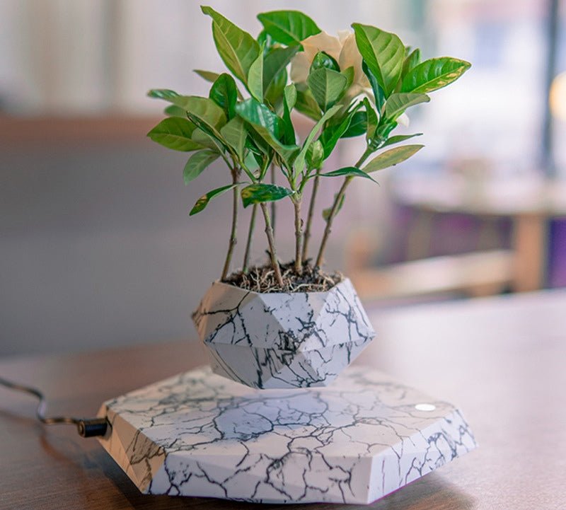 Pot de plante lévitant couleur marbre Suspension magnétique Décor bureau maison cadeau - IVOIRART.COM