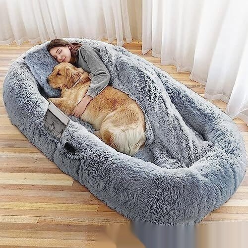 Queen Bed Pet Plush Sofa For Owner And Dog - IVOIRART.COM