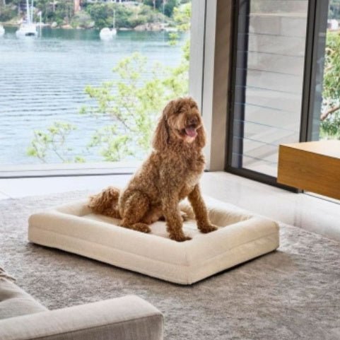 Rectangular Pet Sofa Bed Thickened Mattress - IVOIRART.COM