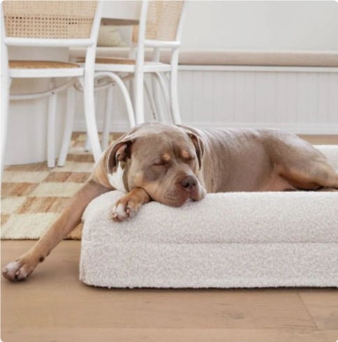 Rectangular Pet Sofa Bed Thickened Mattress - IVOIRART.COM