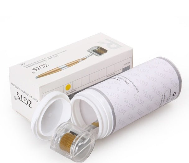 Rouleau Derma en alliage de titane avec micro-aiguilles de 0,2 et 0,25 mm pour soin du visage - IVOIRART.COM
