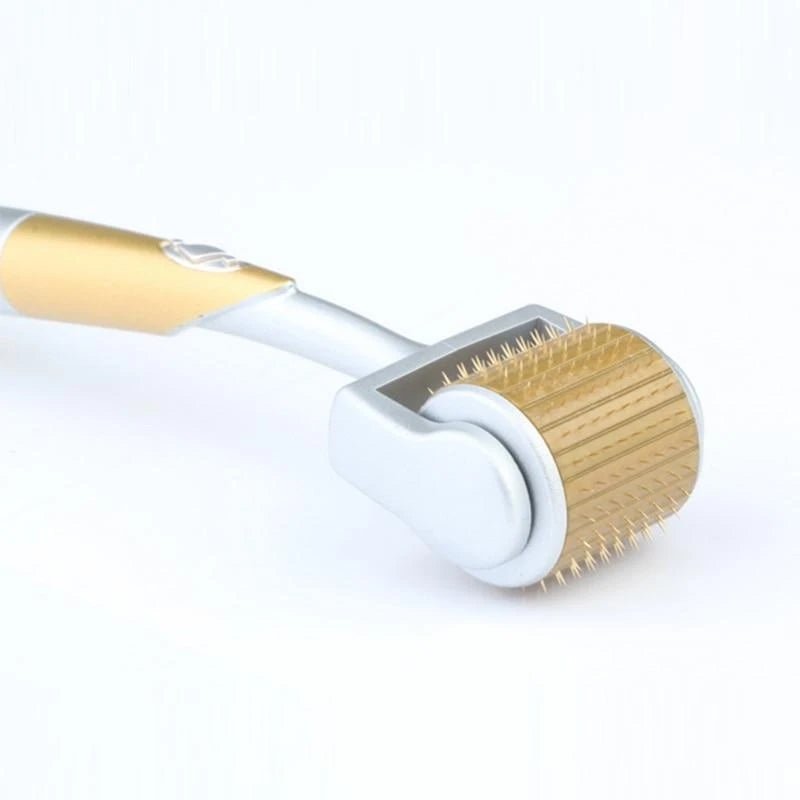 Rouleau Derma en alliage de titane avec micro-aiguilles de 0,2 et 0,25 mm pour soin du visage - IVOIRART.COM