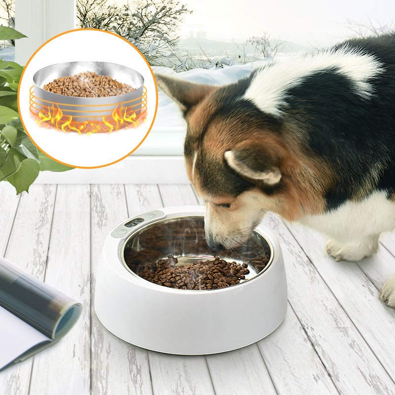 Round Stainless Steel Smart Heating Bowl Feeder - IVOIRART.COM