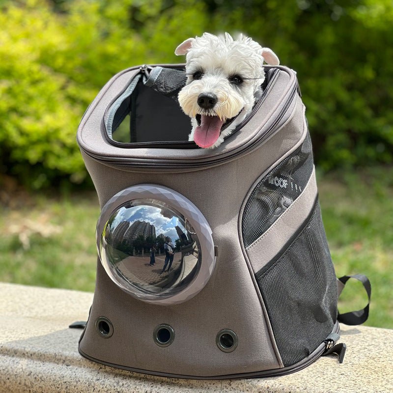 Sac à dos de transport pour chats et chiens de taille moyenne, portable et pratique - IVOIRART.COM