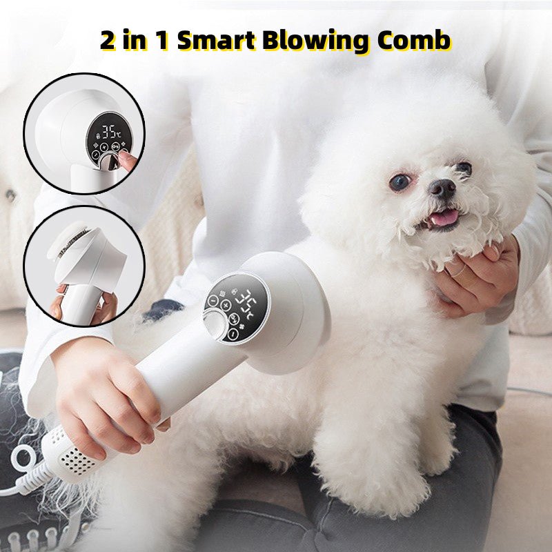 Sèche-cheveux intelligent pour animaux Poils Chien Golden Retriever Chat - IVOIRART.COM