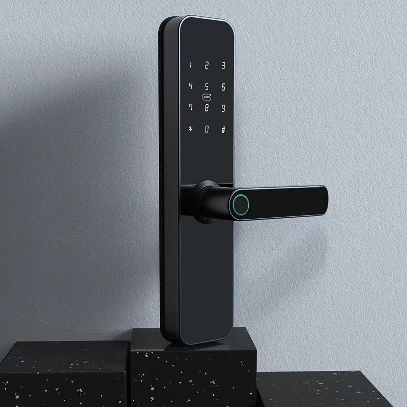 Serrure à Empreinte Digitale pour Porte en Bois avec Fonction Graffiti et Pass - IVOIRART.COM