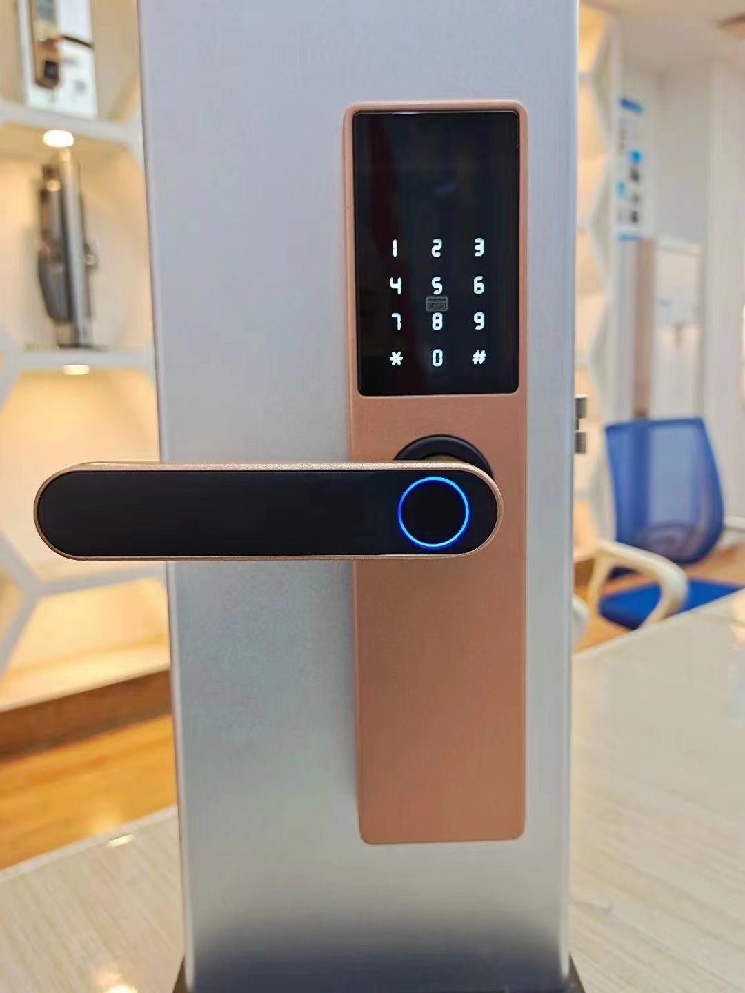 Serrure à Empreinte Digitale pour Porte en Bois avec Fonction Graffiti et Pass - IVOIRART.COM