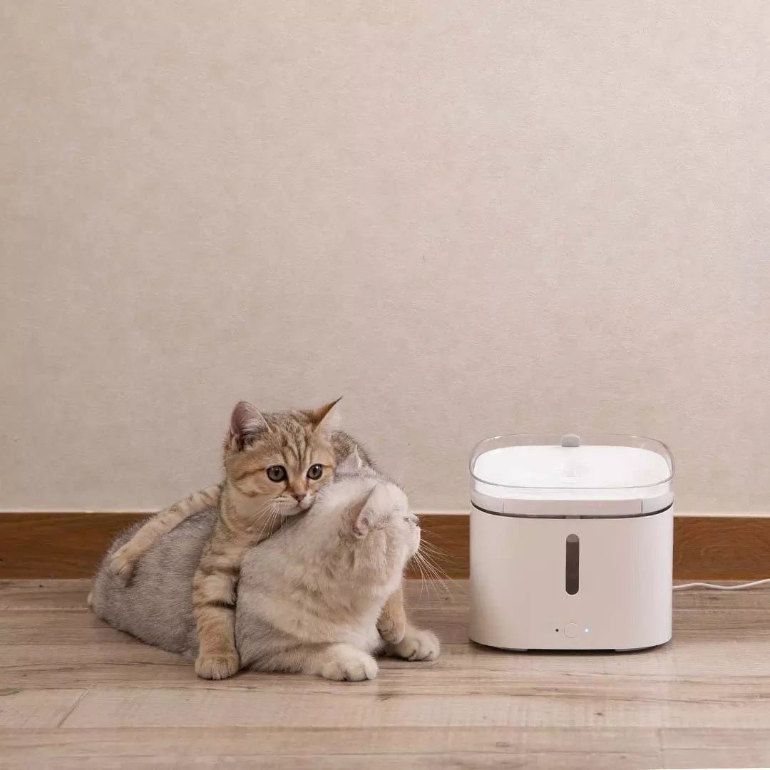 Smart Automatic Pets Water Drinking Dispenser Fountain - IVOIRART.COM