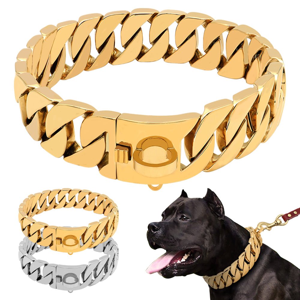 Stainless steel dog chain - IVOIRART.COM