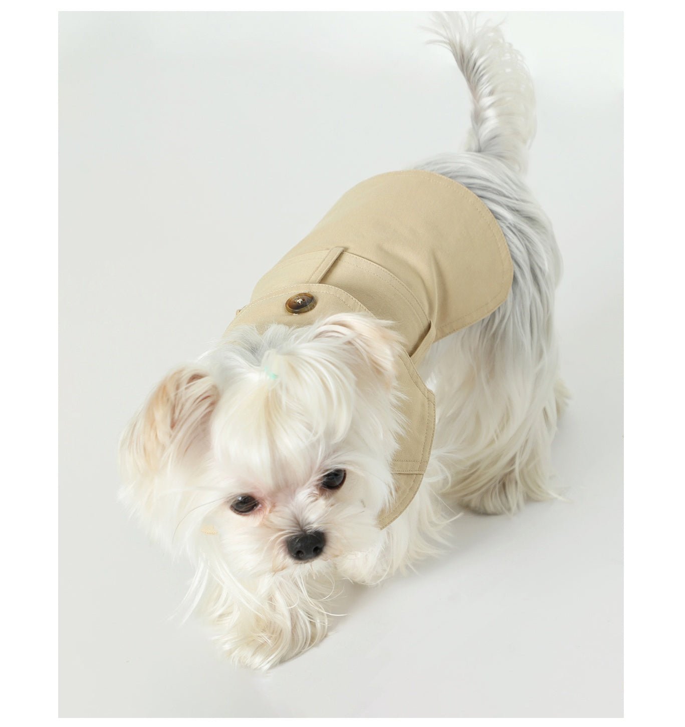 Summer Pet Clothes Dog British Trench Coat - IVOIRART.COM