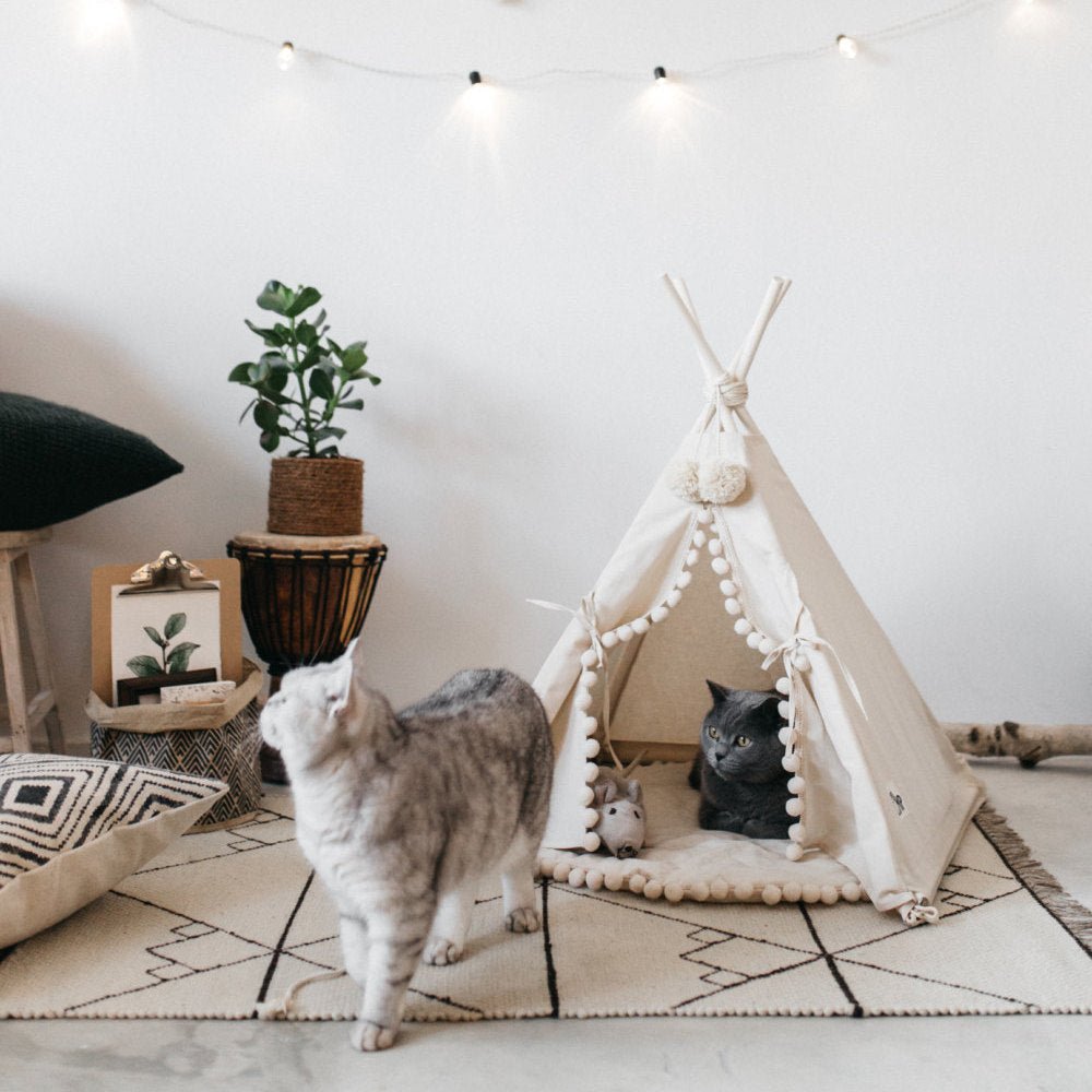 Tente-lit pour animaux confortable et pratique, idéale pour chats et petits chiens - IVOIRART.COM