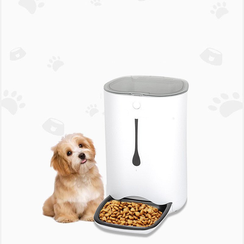 Timed pet video automatic feeder - IVOIRART.COM