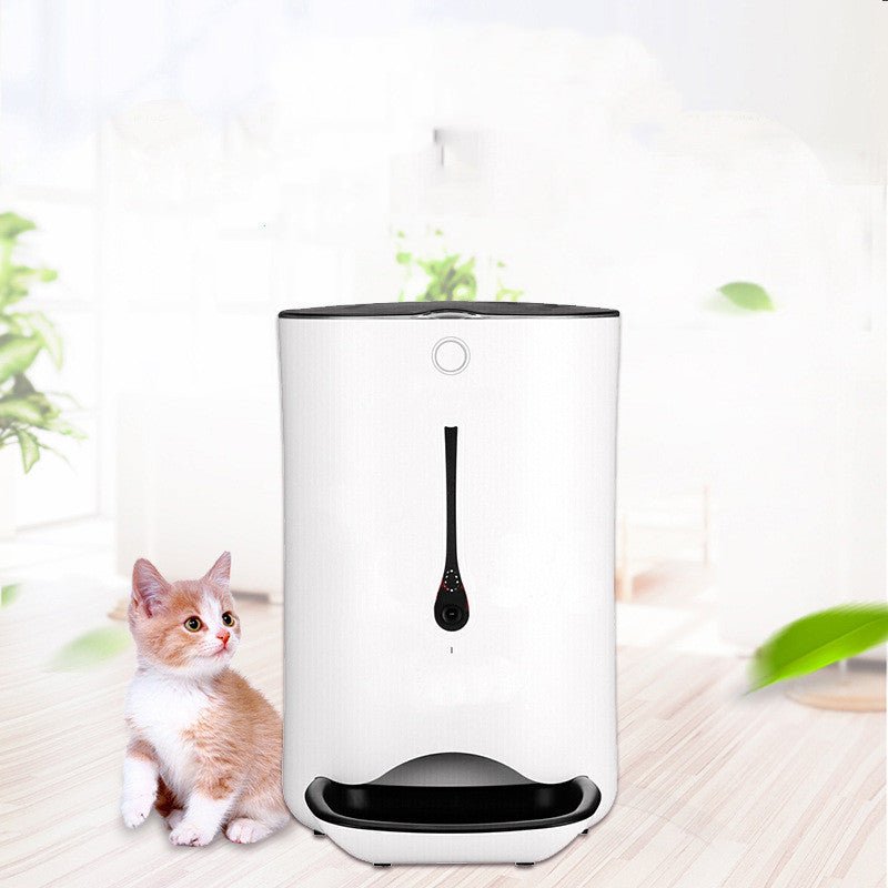 Timed pet video automatic feeder - IVOIRART.COM