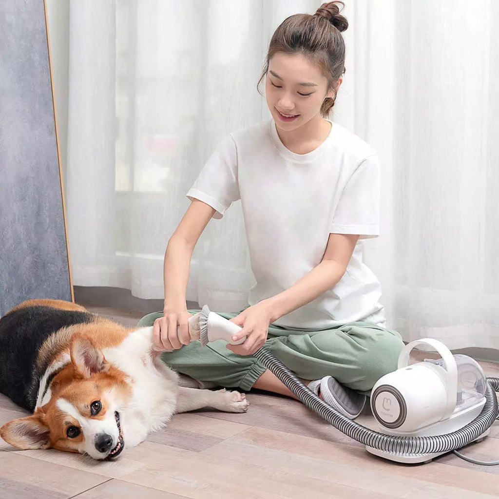 Tondeuse multifonctionnelle pour animaux - Beauté et toilettage complet - IVOIRART.COM