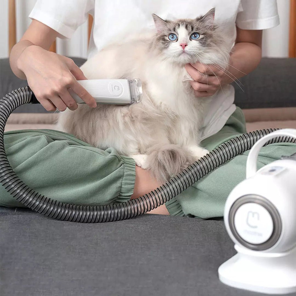 Tondeuse multifonctionnelle pour animaux - Beauté et toilettage complet - IVOIRART.COM