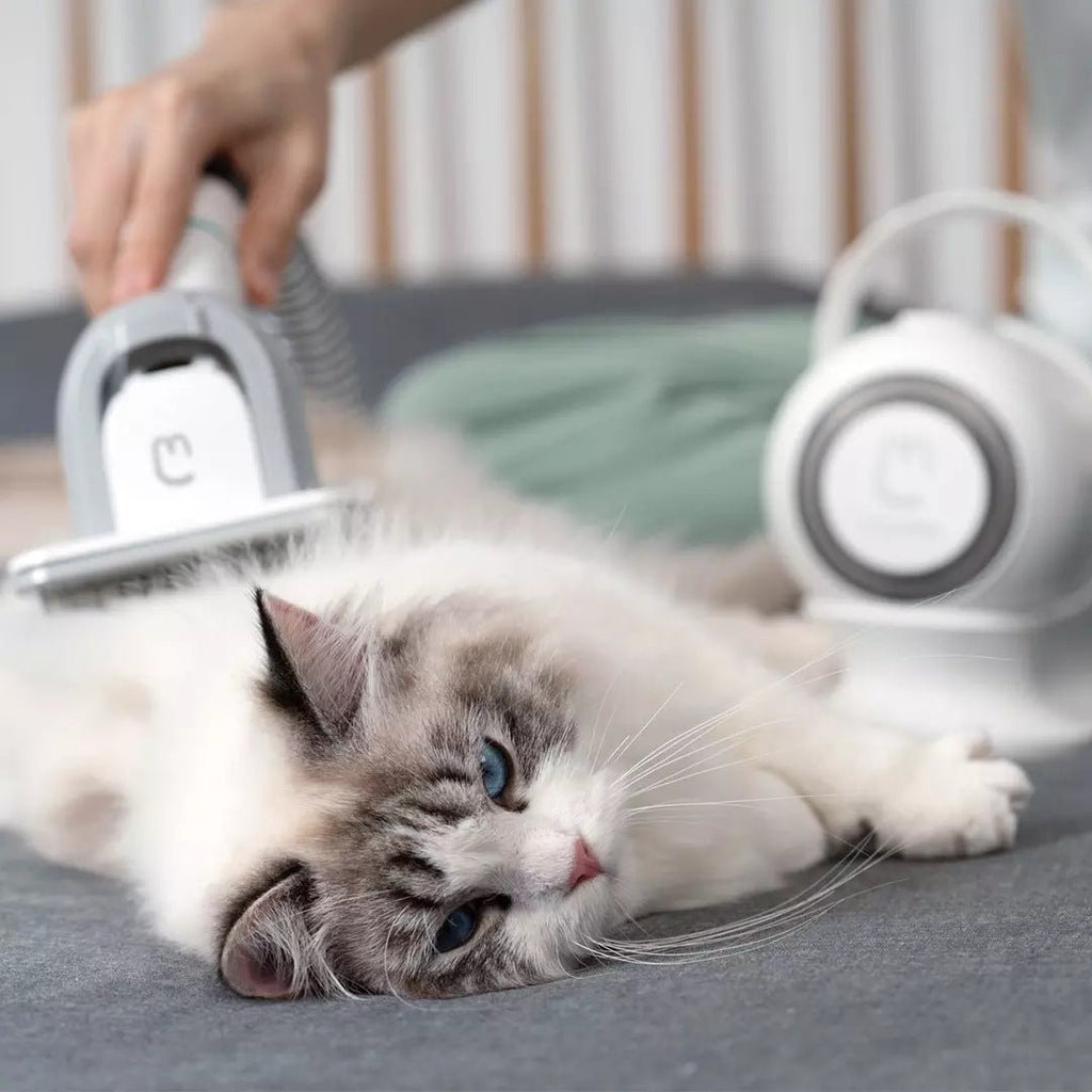Tondeuse multifonctionnelle pour animaux - Beauté et toilettage complet - IVOIRART.COM