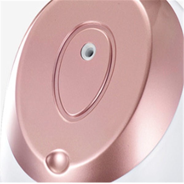 Vaporisateur Facial Nano Ionique - Modèle SA-166A, Pulvérisation Thermique, Blanc - IVOIRART.COM
