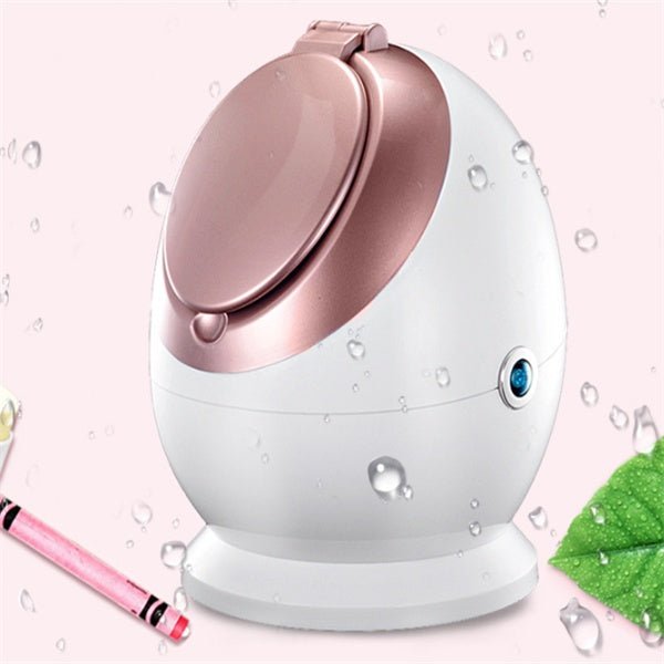 Vaporisateur Facial Nano Ionique - Modèle SA-166A, Pulvérisation Thermique, Blanc - IVOIRART.COM