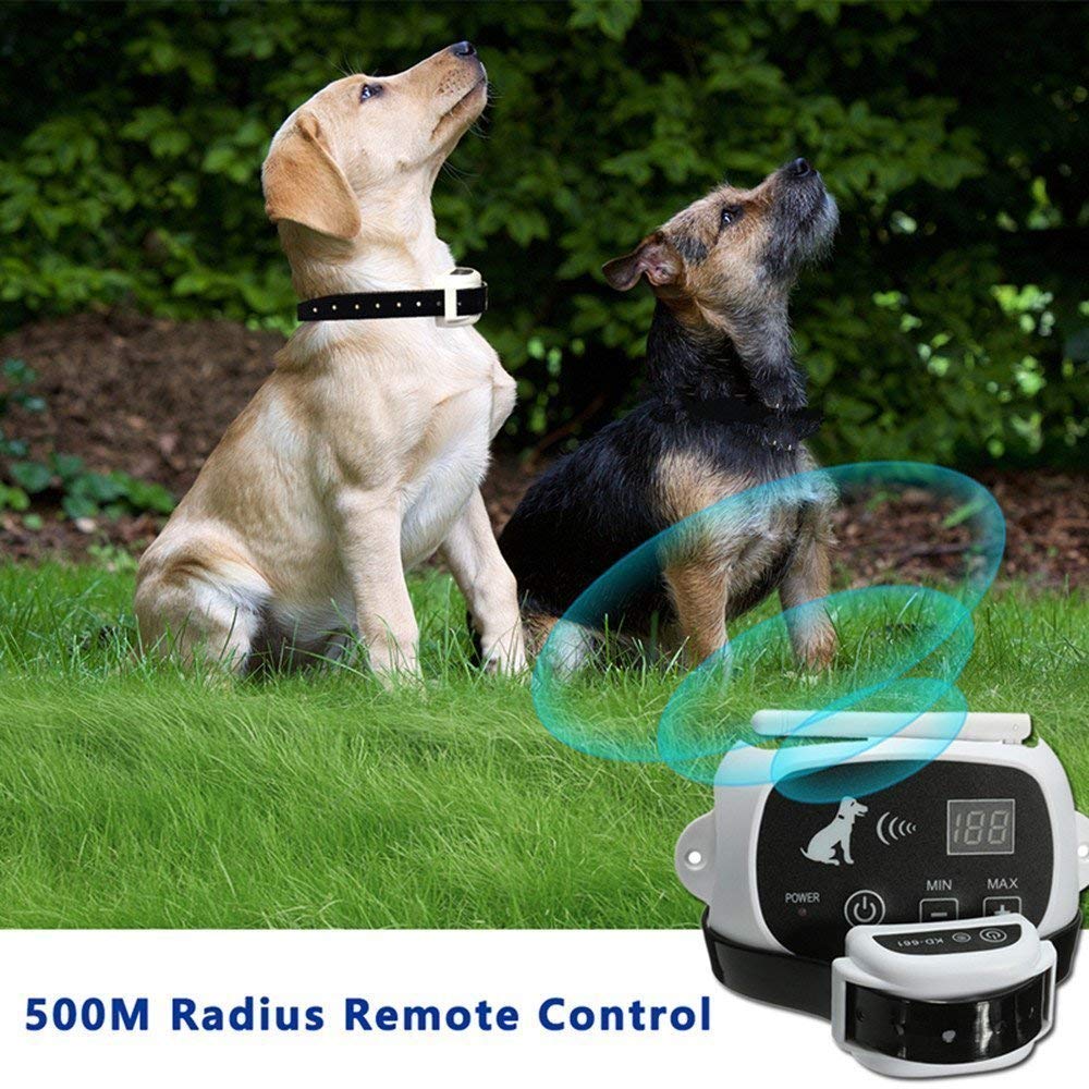 Wireless Electronic Pet Fence System - IVOIRART.COM