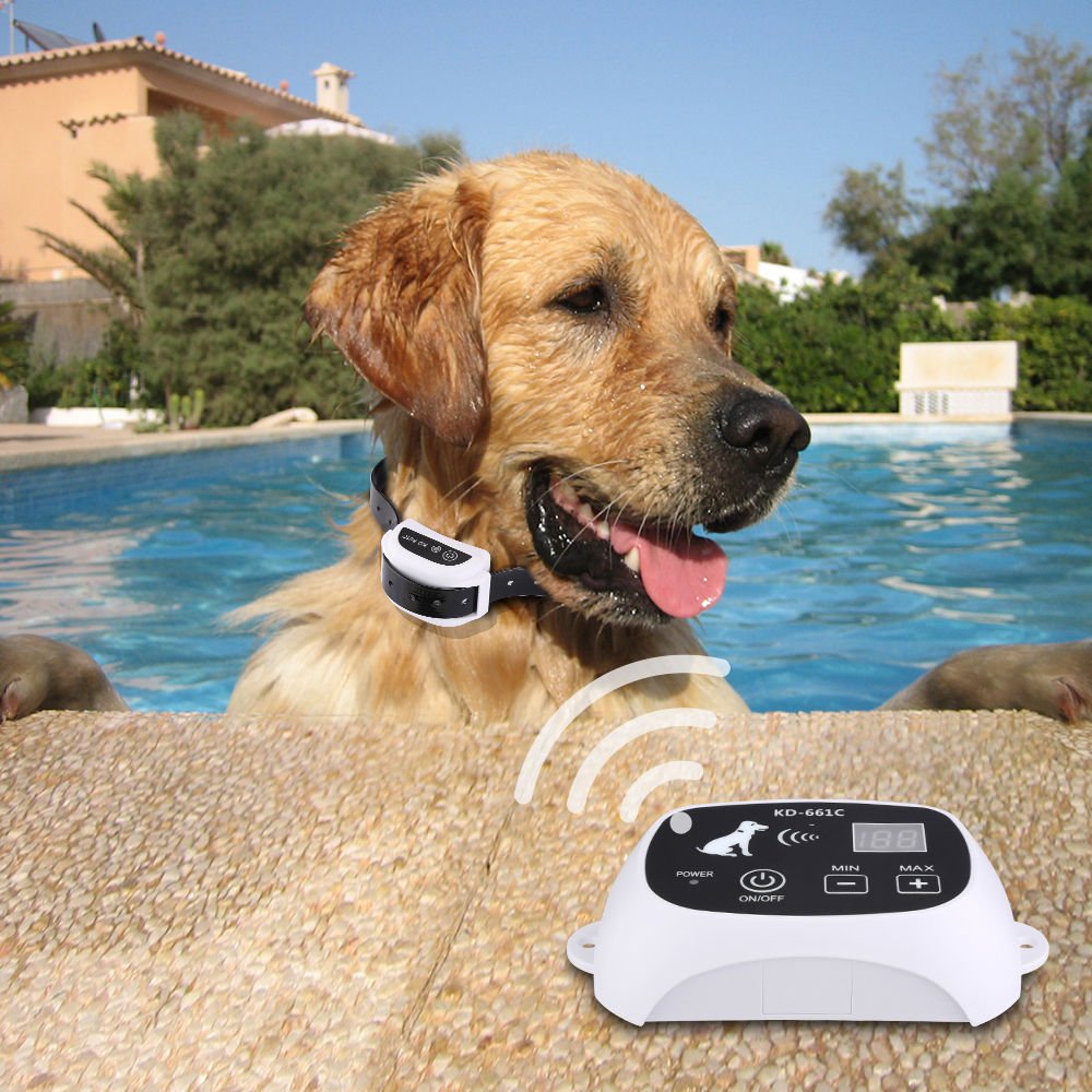 Wireless Electronic Pet Fence System - IVOIRART.COM